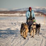 Martin Buser arrives into Unalakleet, Saturday evening