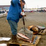 Harvesting the whale, Nalukataq