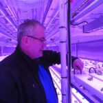 Jeff Hicks of the Kikiktagruk Inupiat Corporation inspects the hoses that provide plants with oxygenated water. Photo: Laura Kraegel, KNOM.