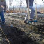 Aerating the soil in preparation for Pilgrim Produce's first winter crop.