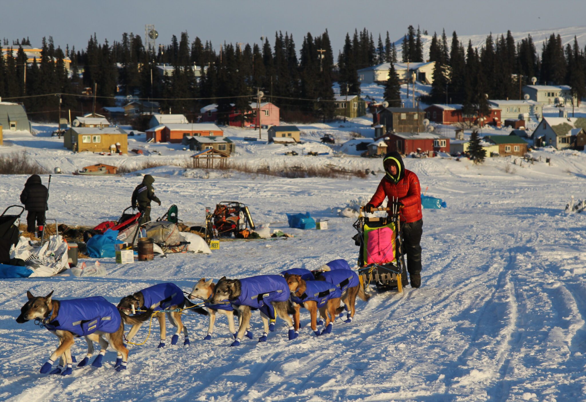 a musher leaving a snowy path