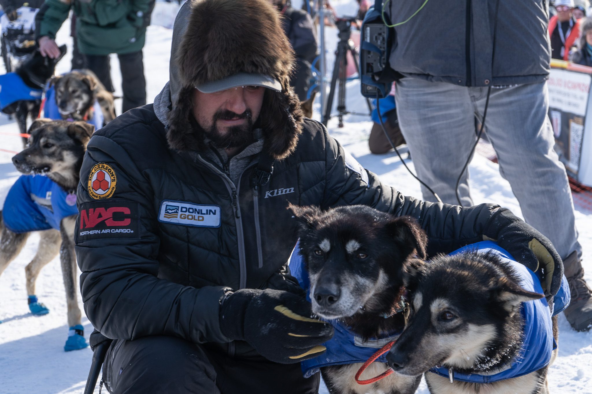 A man in a black parka with two dogs