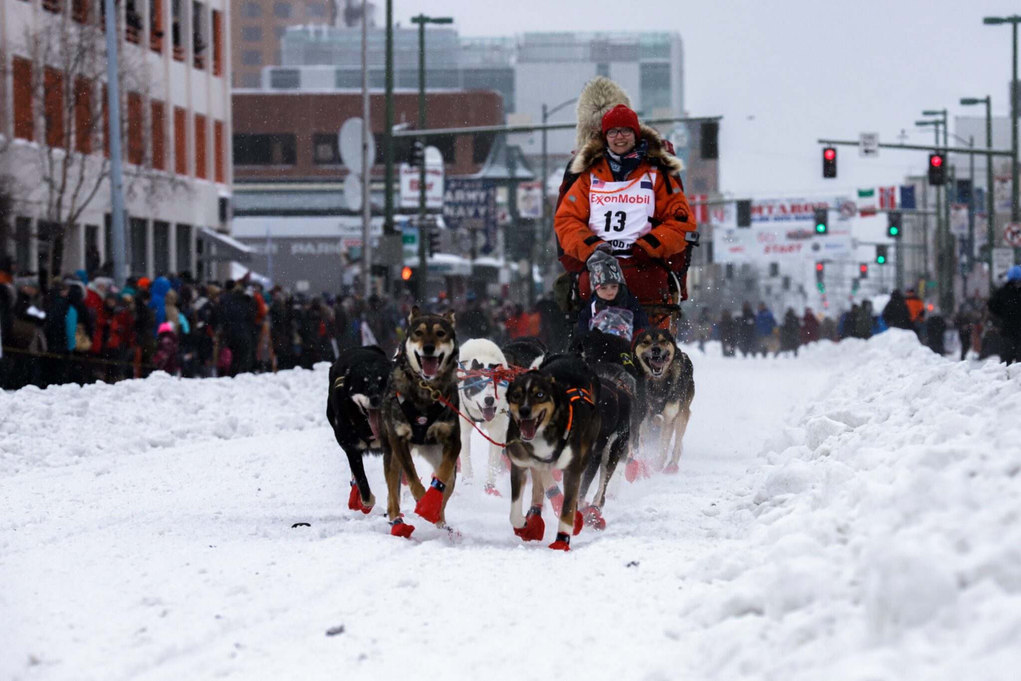 a dog team downtown