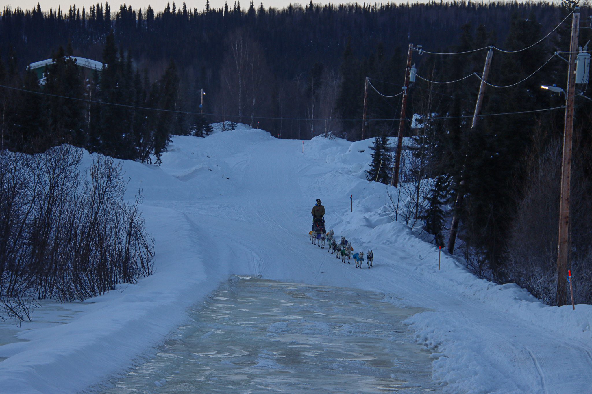 A musher and dog team on a snowy street