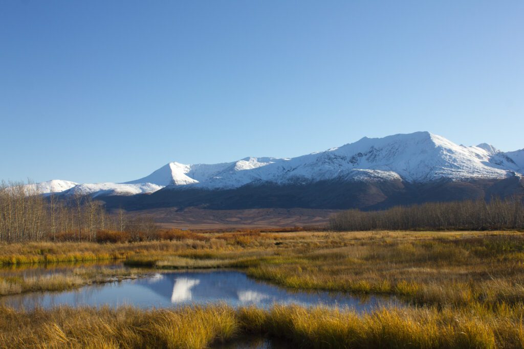 Pilgrim Hot Springs in Autumn