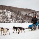 Iditarod 2015