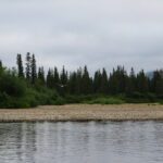 Niukluk River, AK