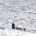 Karin Hendrickson, arriving in Galena