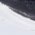 Mushers racing between Nulato and Kaltag checkpoints