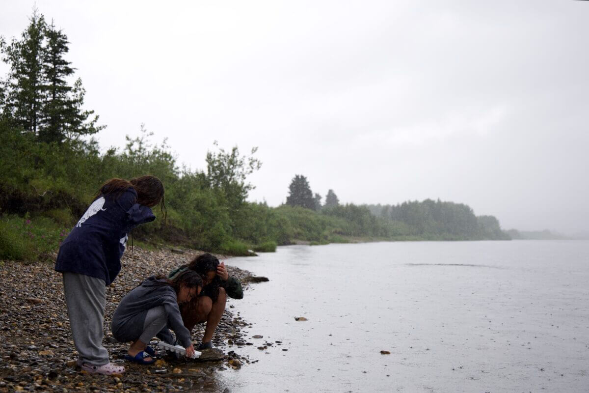 A group of campers look for macroinvertebrates in the Niukluk River. Ben Townsend photo.