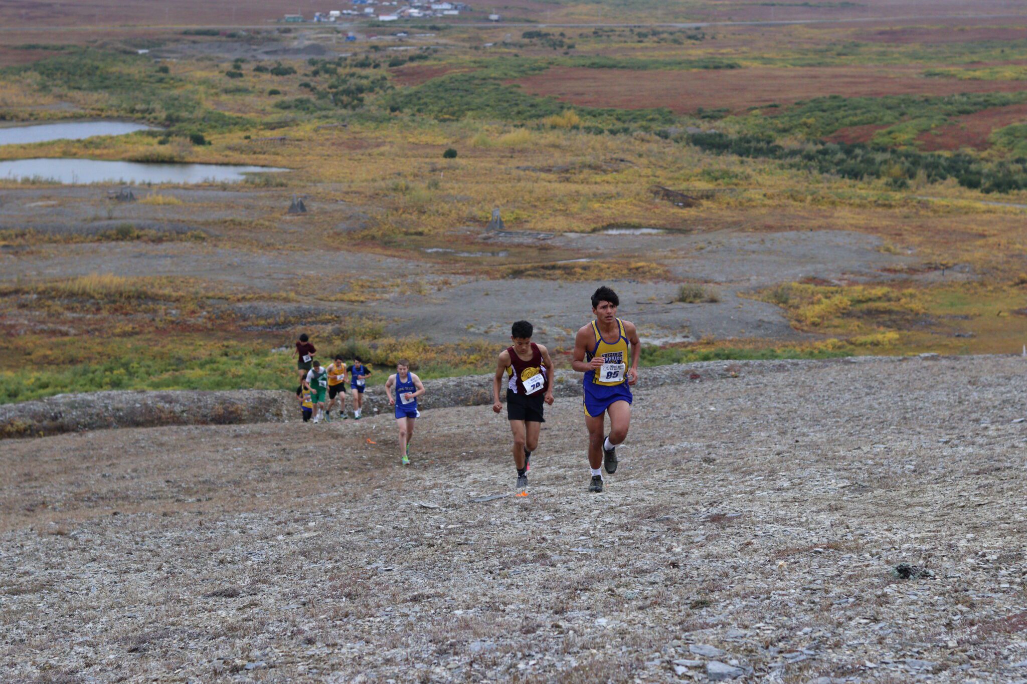 A line of competitors make their way up Anvil Mountain at the 2024 Nome Invitational. Rosa Wright photo.