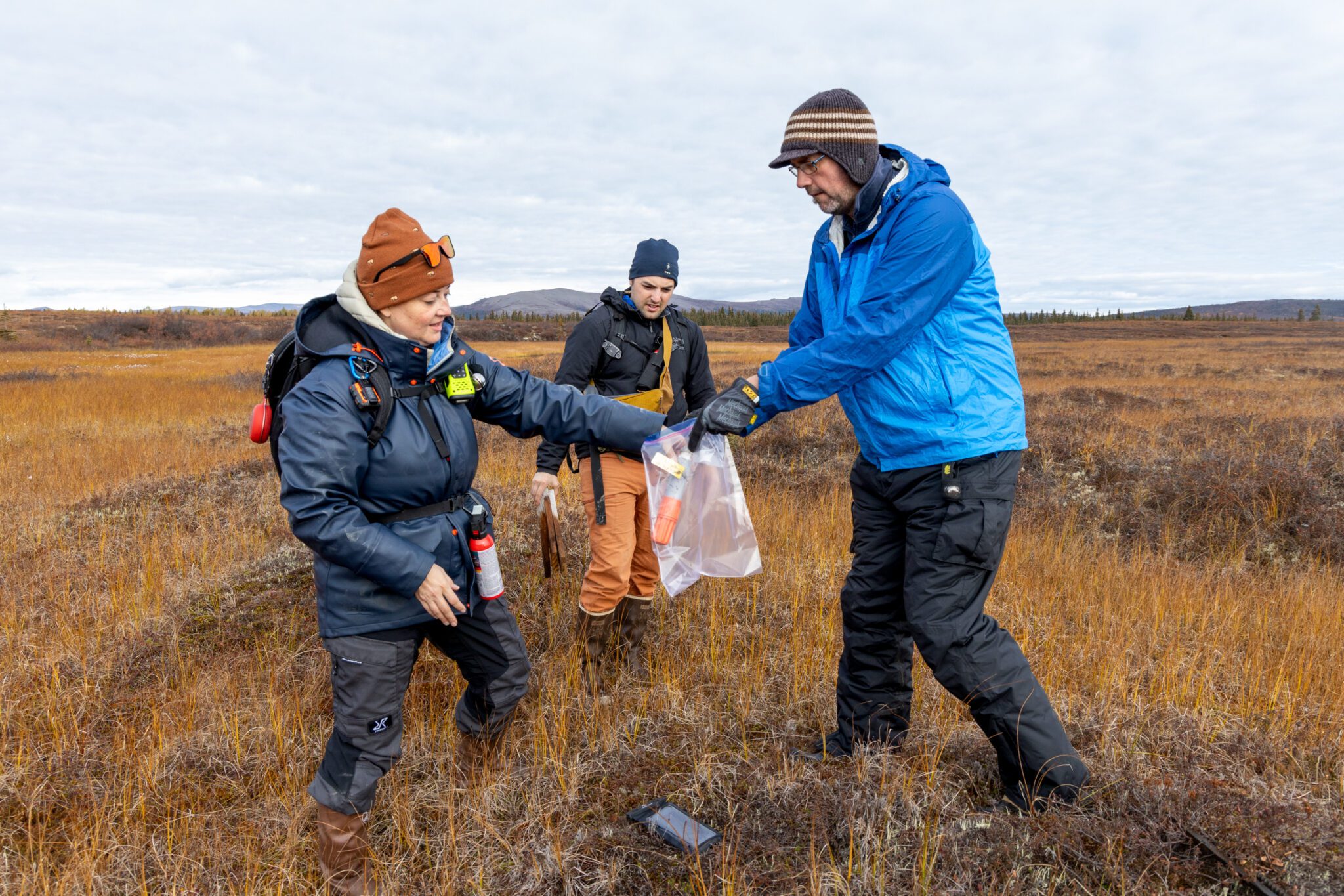 Colleen Iversen, left, places a collection tube in a plastic bag. Photo courtesy of NGEE Arctic.