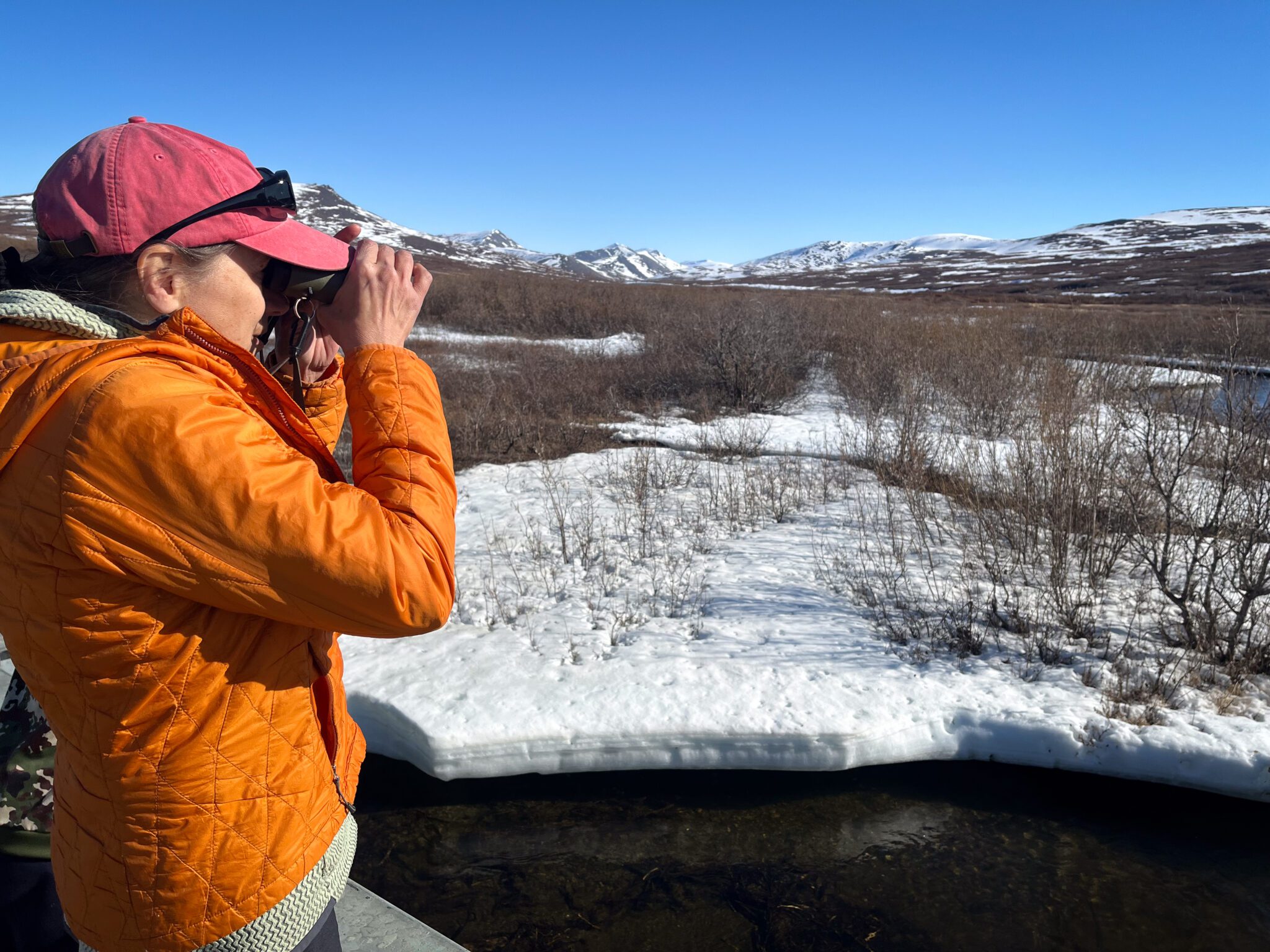 IMG_4677 Carol Gales surveys the Penny River valley for birds during a spring drive. Laura Davis Collins photo.