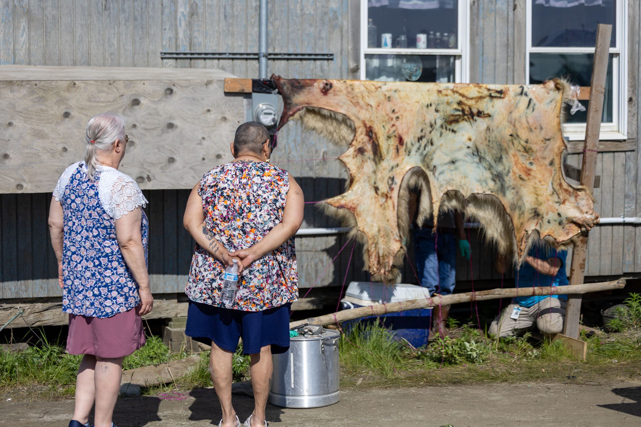 102A9230 Caroline Brown, middle, watches on as Ben Jack and Raymond Paniataaq tend to a polar bear hide. Wali Rana photo.