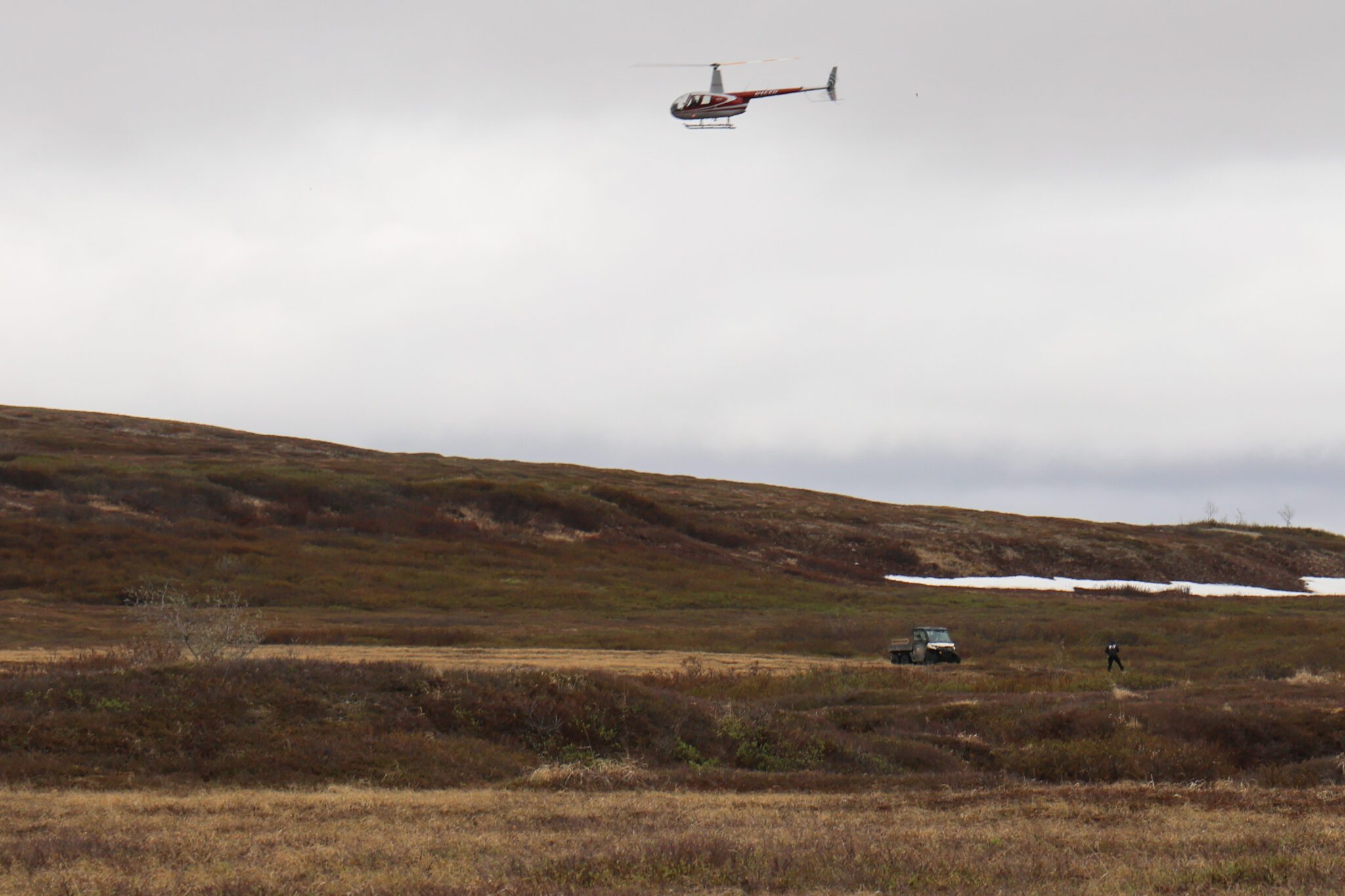 IMG_7158 SAR helicopter and a side-by-side search the tundra east of Nome on Monday. Photo Laura Davis Collins.