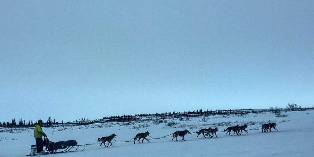 2016 Kobuk 440