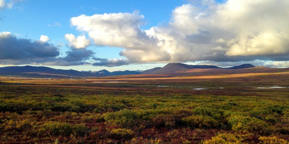 Increased ‘Greening’ in North Slope