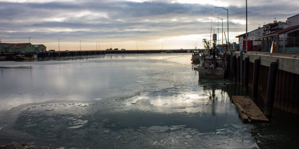 Nome's small boat harbor begins to freeze over. Photo: Francesca Fenzi, KNOM.