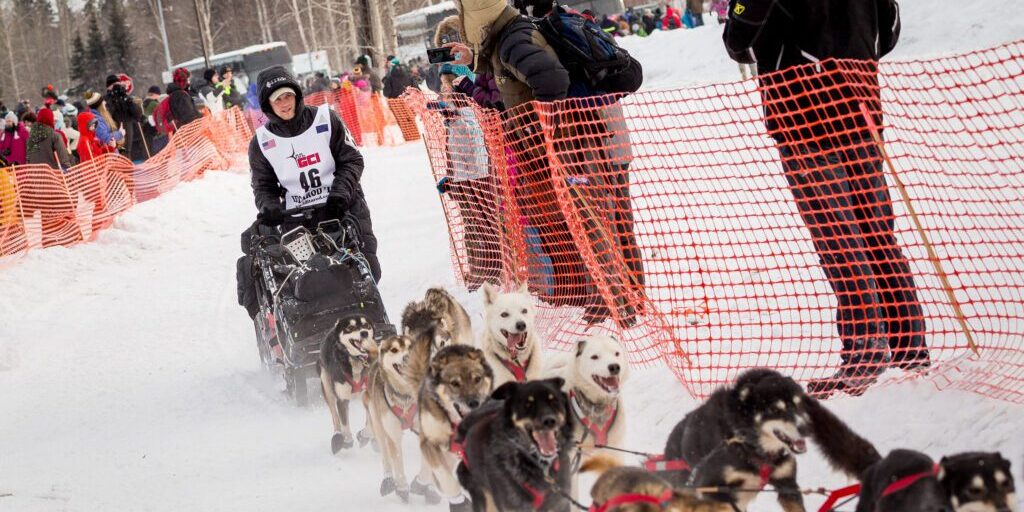 Iditarod