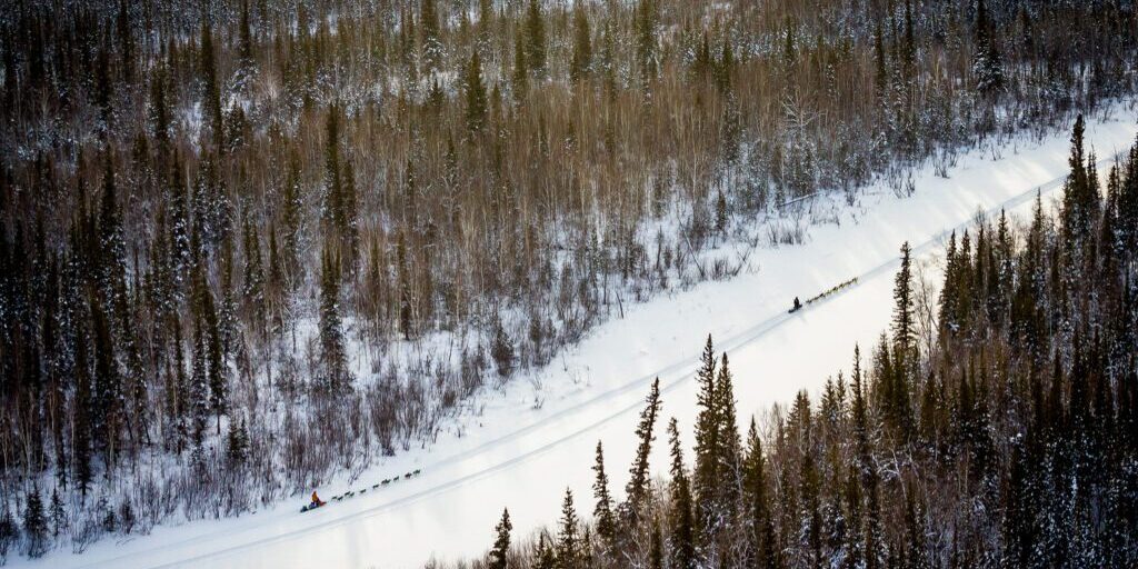 Ryan Redington Will Be First Musher on 2017 Iditarod Trail | KNOM Radio Mission