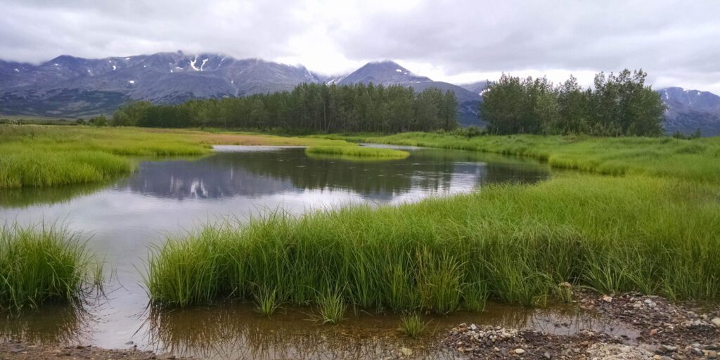 Mountain View at Pilgrim Hot Springs. Photo: Maddie Winchester, KNOM