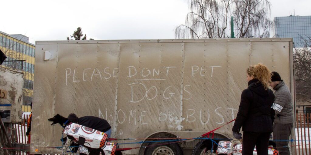 At Iditarod's Start