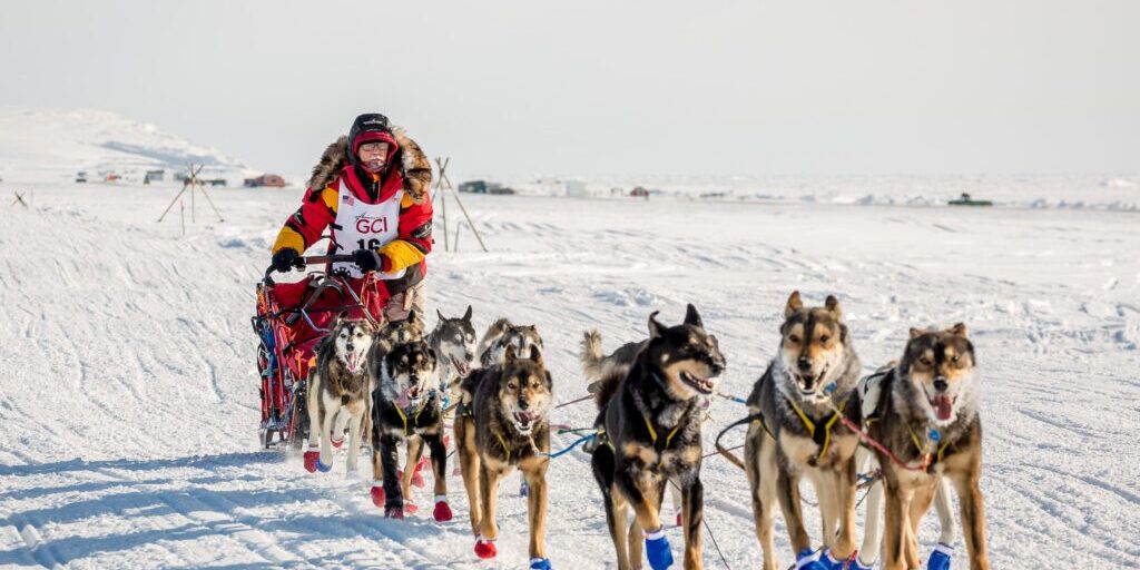 The Epic Iditarod Returns | KNOM Radio Mission