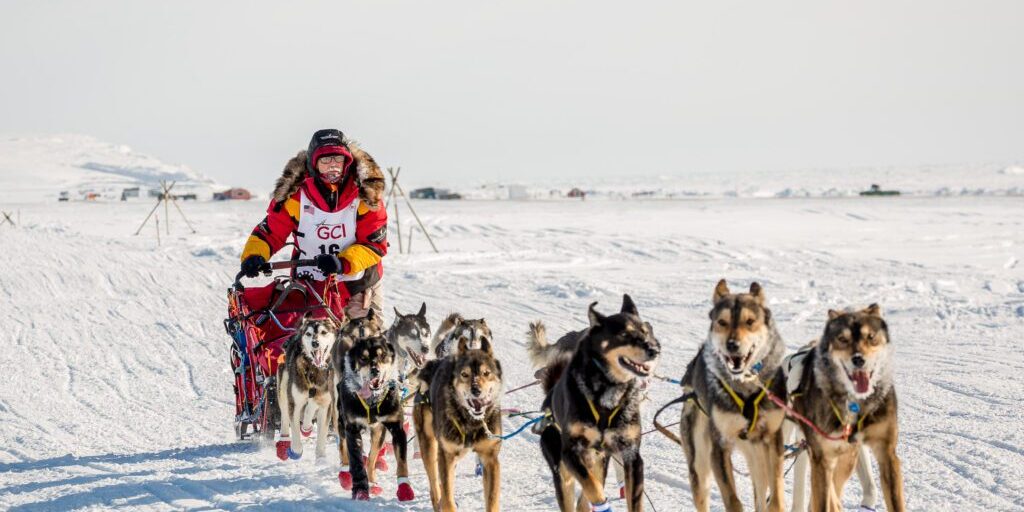 Dog Powered: Races Bring Dogs