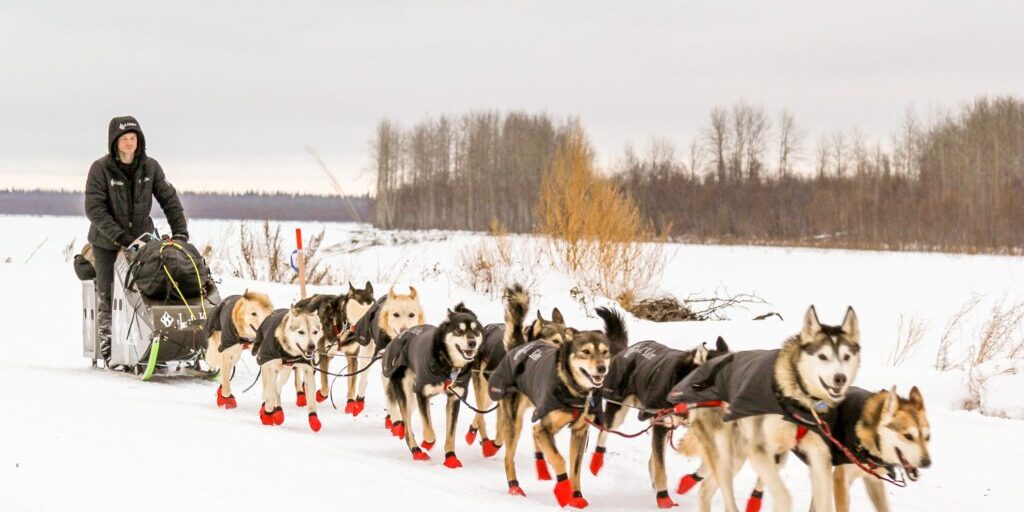 Can anyone beat Dallas Seavey? Top Iditarod mushers say they’re ready to try. | KNOM Radio Mission