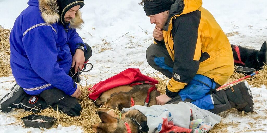 Near Iditarod’s Half-Way Point