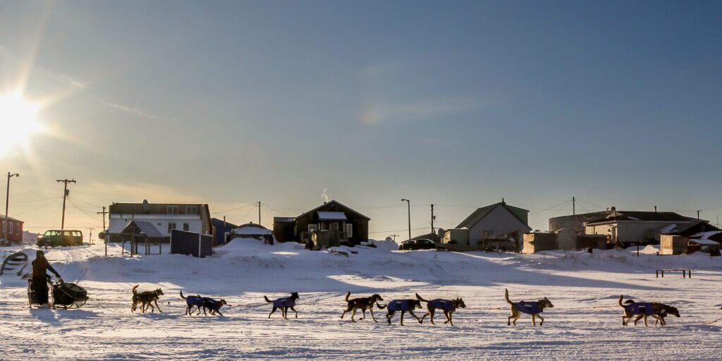 Iditarod Checkpoint Enforces Ordinance to Control Loose Dog Population as Mushers Arrive | KNOM Radio Mission