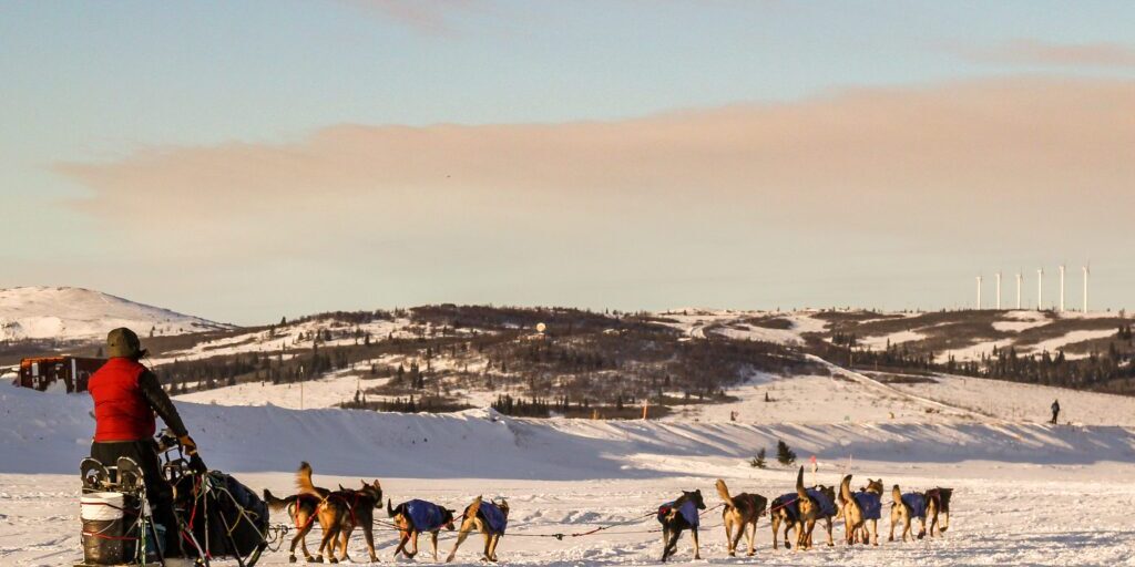 Waerner First Out of Unalakleet