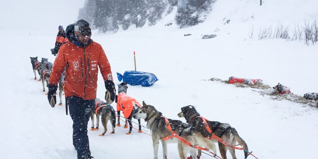 Top Five Mushers Into White Mountain By The Time Waerner Departed for Nome | KNOM Radio Mission