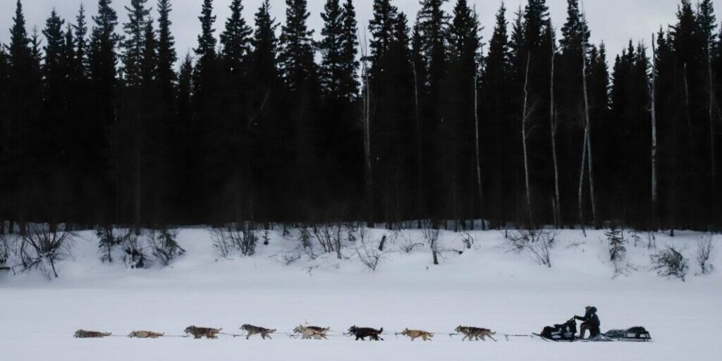 Iditarod leaders Dallas Seavey and Brent Sass jockey for first place on way out of Ophir ghost town | KNOM Radio Mission