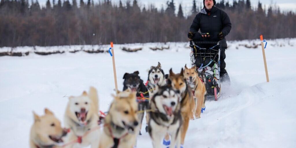 Aaron Burmeister and his 13-dog team are first to McGrath | KNOM Radio Mission