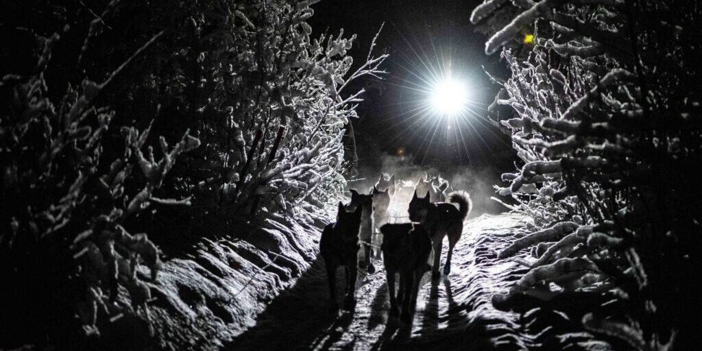 Quest Standings Are Tight As Mushers Prep to Leave Dawson Overnight | KNOM Radio Mission