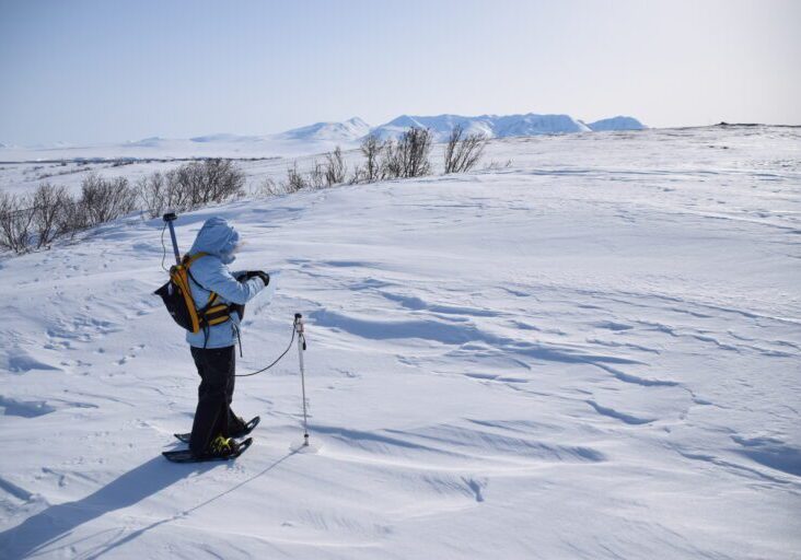 A researcher measures snow depth at NGEE-Arctic's Kougarok field site. Photo courtesy of Bob Bolton