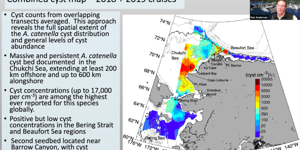 Latest research from Woods Hole finds HABs growing locally in Northern waters | KNOM Radio Mission