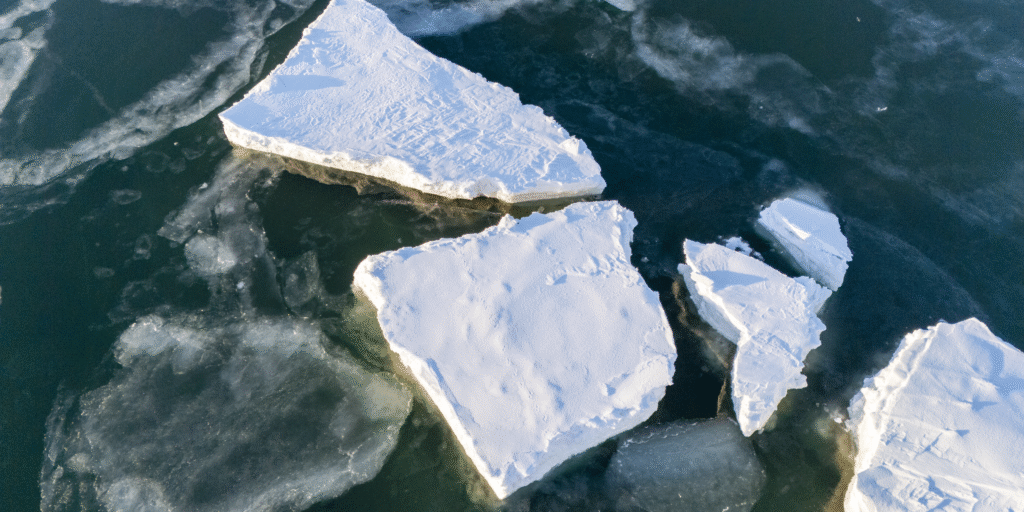 Large chunks of sea ice float just off the shore of Nome on February 12, 2025. Ben Townsend photo.