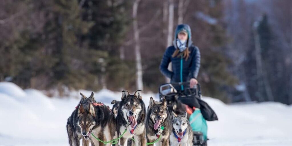 Musher Profile: Emily Maxwell | KNOM Radio Mission