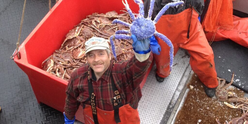 Profile: Blue-Colored Red King Crab | KNOM Radio Mission