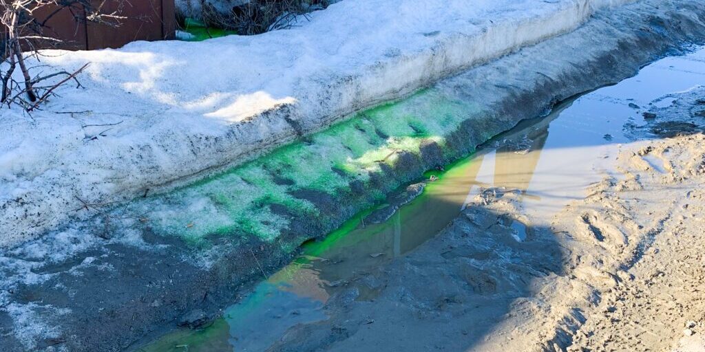 “Green Slime” Is Sure Sign of Spring in Nome | KNOM Radio Mission