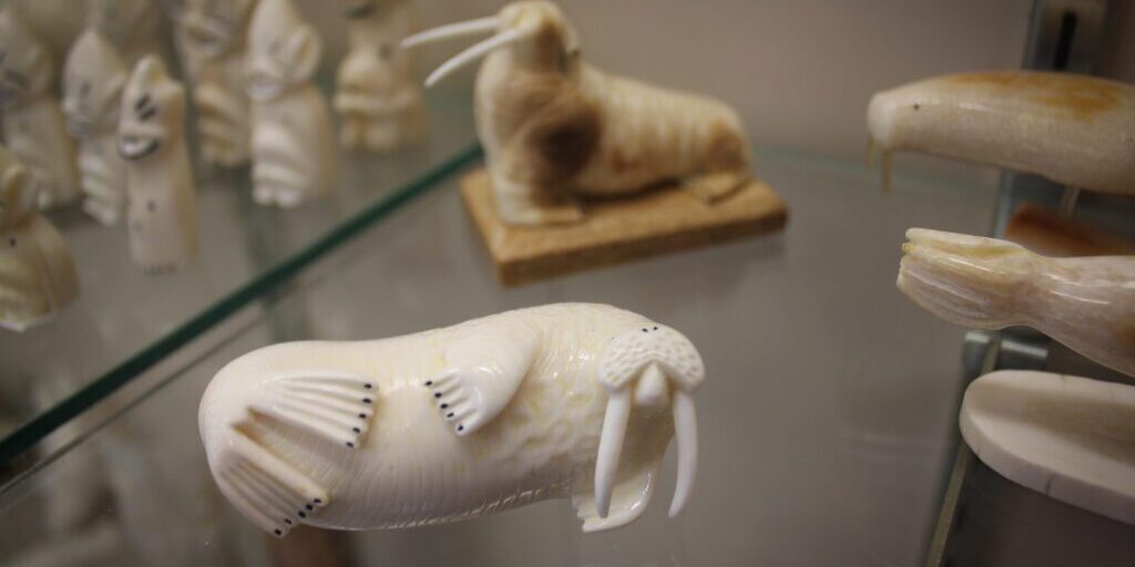 New California Law Could Jeopardize Alaska's Ivory Market | KNOM Radio Mission