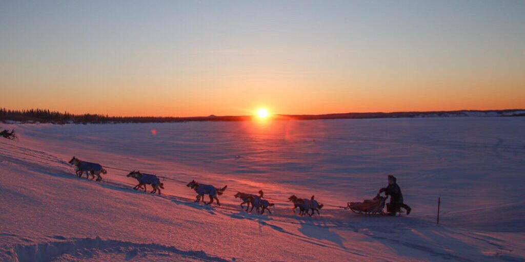 Iditarod teams get some relief with ‘smooth and nice’ Yukon River trail | KNOM Radio Mission