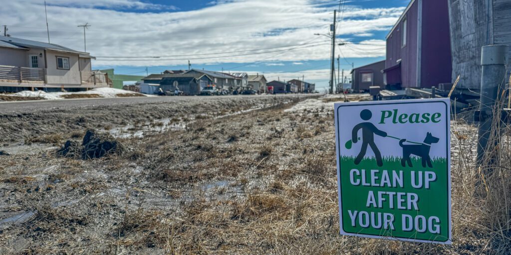 A sign in Nome encouraging the community to pick up after their pets. Ben Townsend photo. 