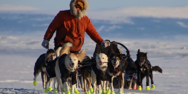 Brent Sass widens Iditarod lead with fewer than 200 miles to finish line | KNOM Radio Mission