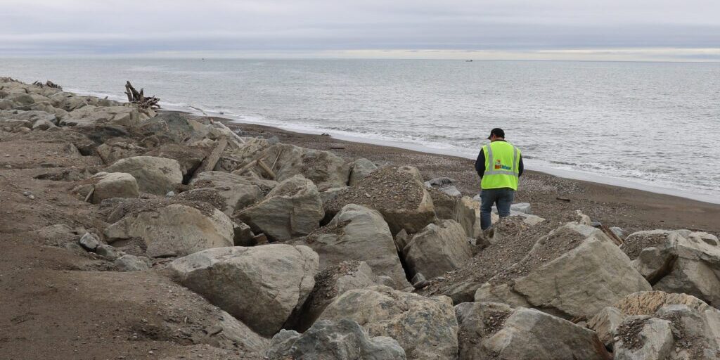 Nome volunteers searched the seawall for Irrigoo Monday morning. Photo Laura Davis Collins.