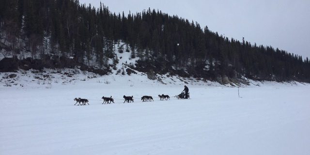 Kobuk 440 Mushers Rest in Kiana Before Pushing to the Finish Line | KNOM Radio Mission