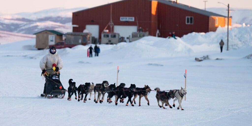 Matt Hall arrives at the Unalakleet checkpoint during the 2025 Iditarod Trail Sled Dog Race. Matt Faubion / Alaska Public Media. 