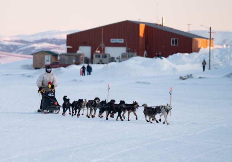 Matt Hall arrives at the Unalakleet checkpoint during the 2025 Iditarod Trail Sled Dog Race. Matt Faubion / Alaska Public Media. 